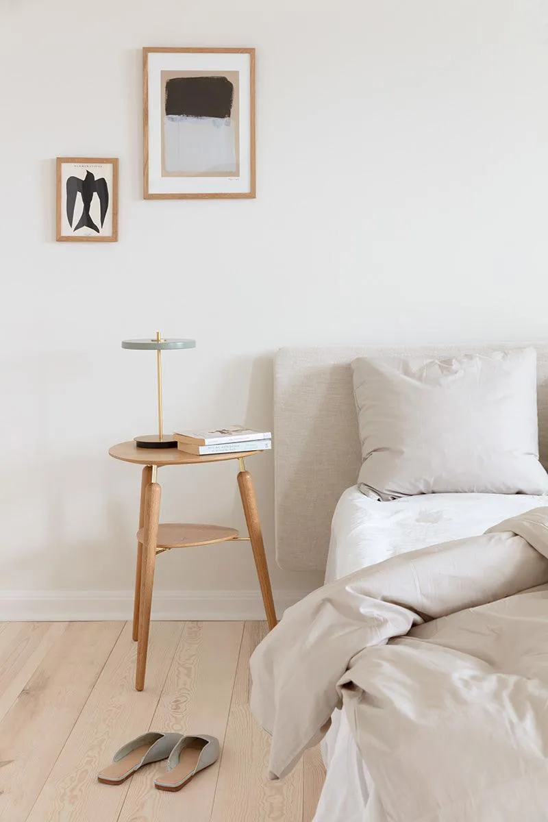 Asteria Move Portable Lamp