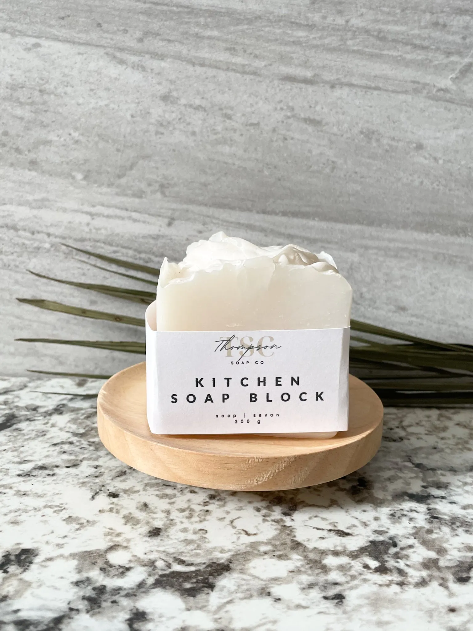 Biodegradable Unscented Solid Dish Soap