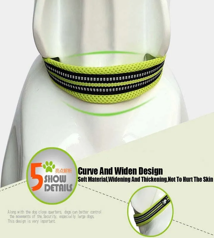 Everyday Reflective Collar