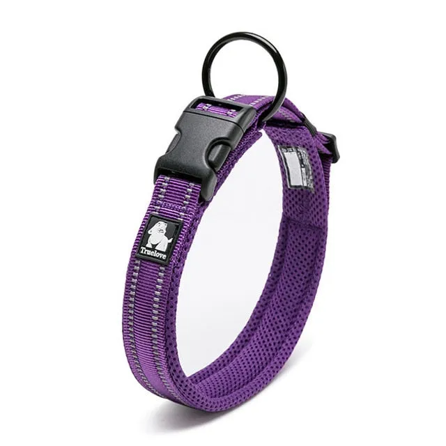 Everyday Reflective Collar