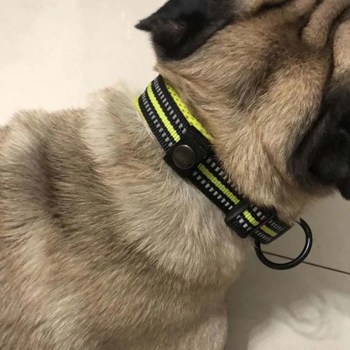Everyday Reflective Collar