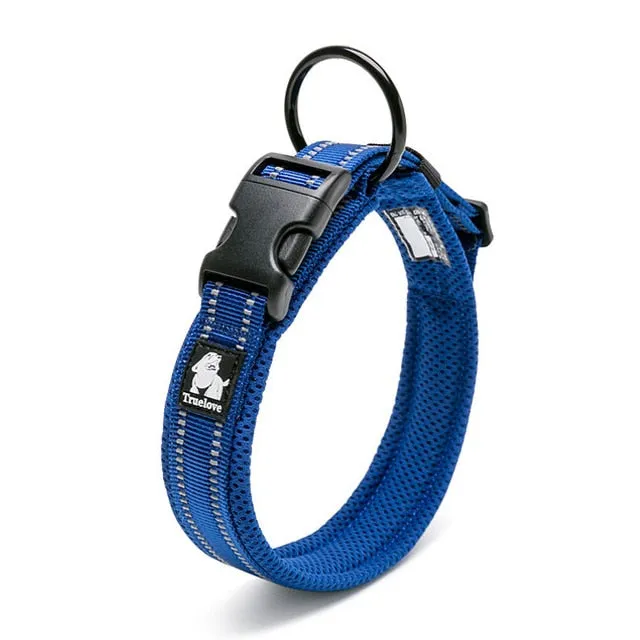 Everyday Reflective Collar
