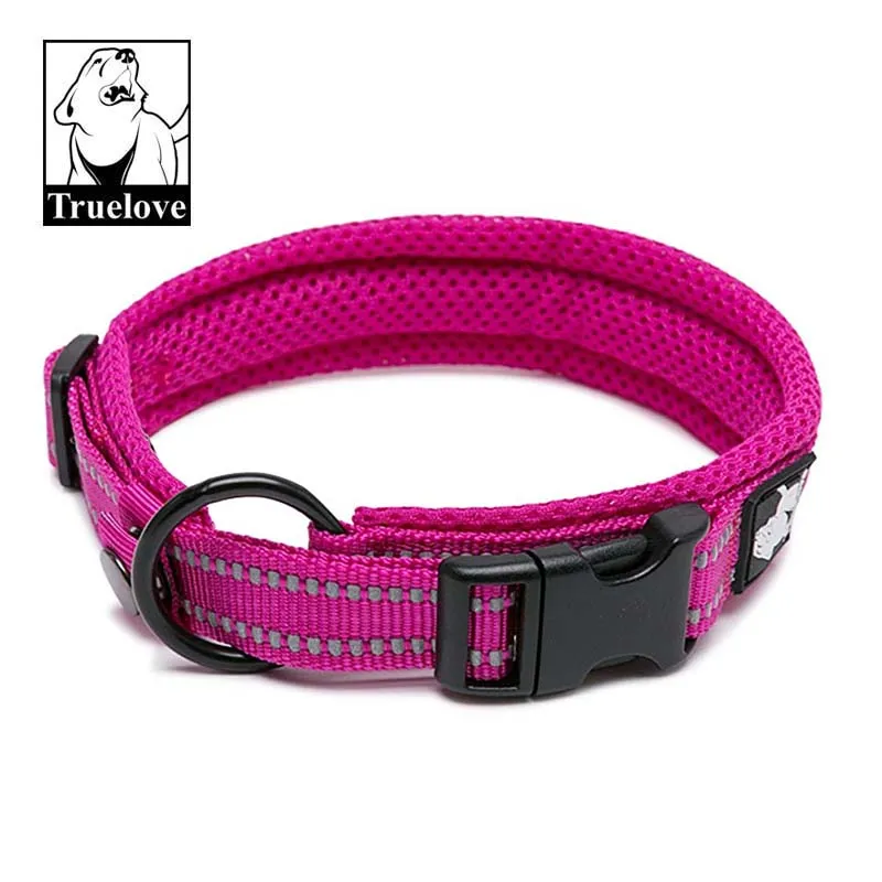 Everyday Reflective Collar