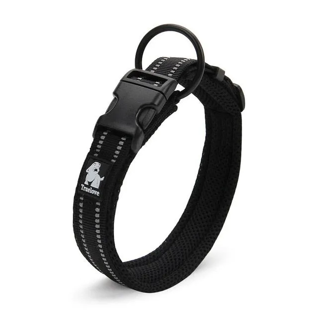 Everyday Reflective Collar