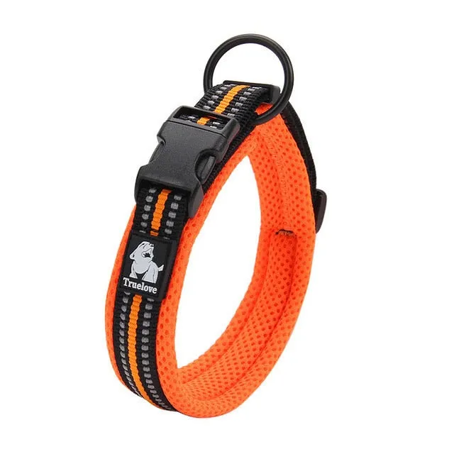 Everyday Reflective Collar