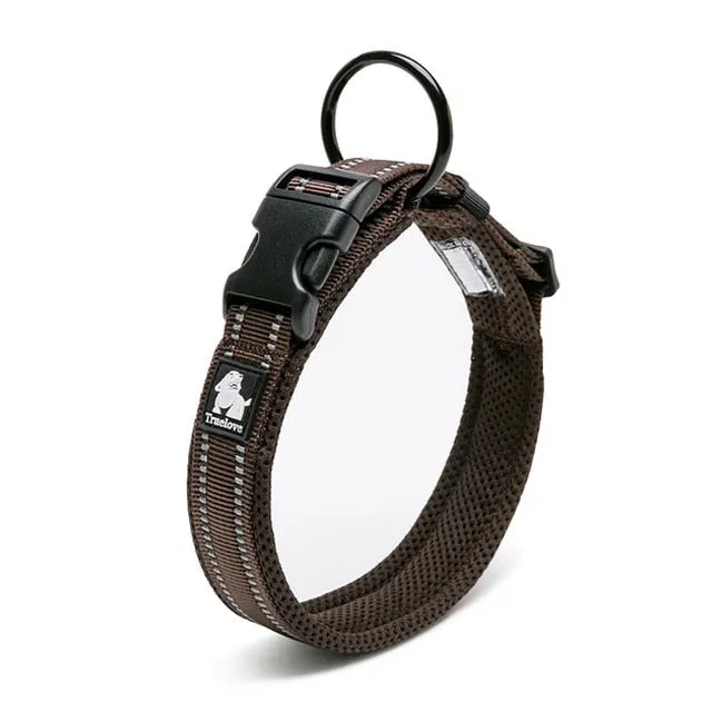 Everyday Reflective Collar
