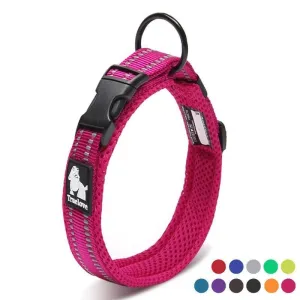 Everyday Reflective Collar