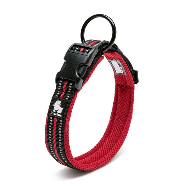 Everyday Reflective Collar