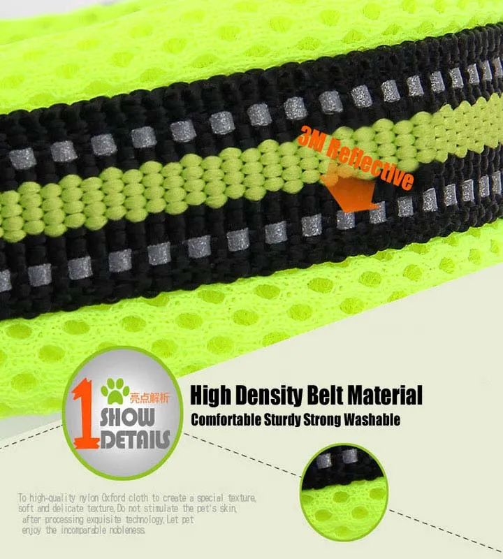 Everyday Reflective Collar