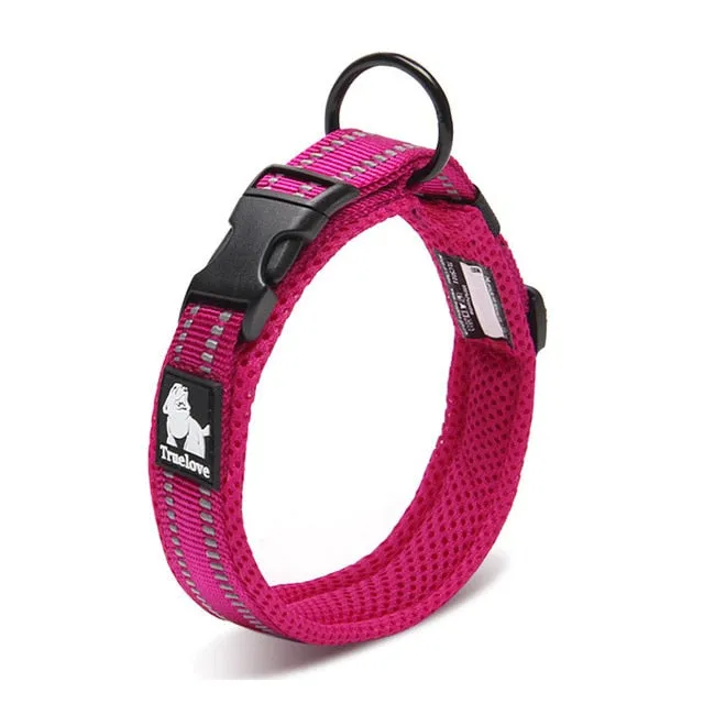 Everyday Reflective Collar
