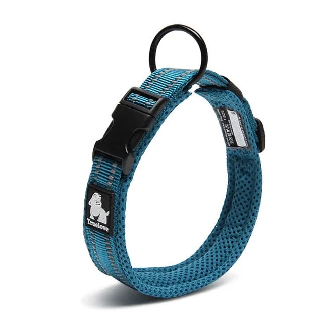 Everyday Reflective Collar