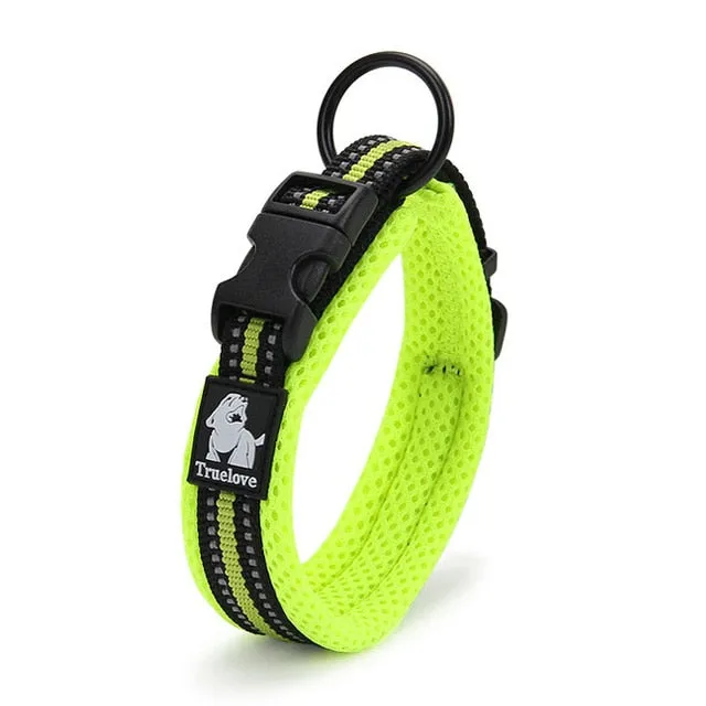Everyday Reflective Collar
