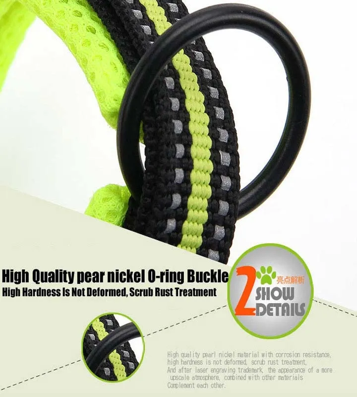 Everyday Reflective Collar