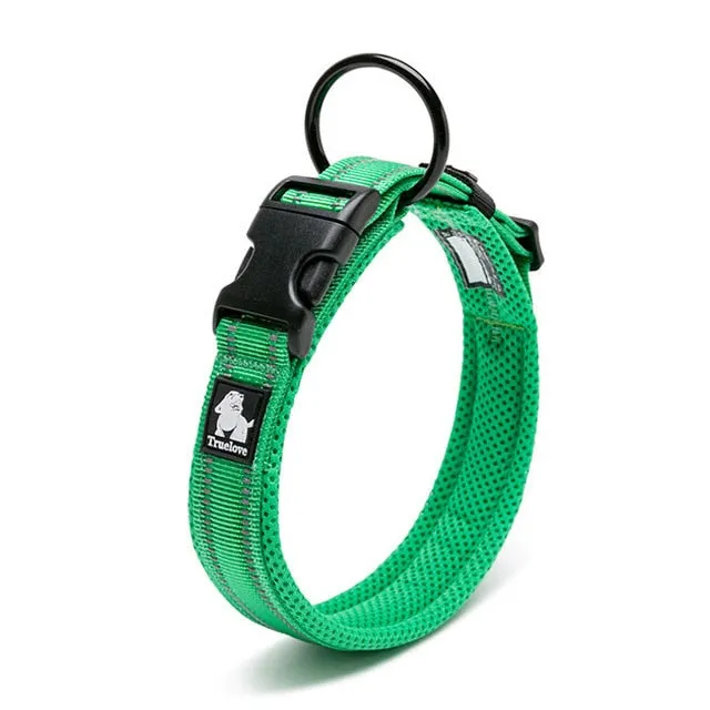 Everyday Reflective Collar