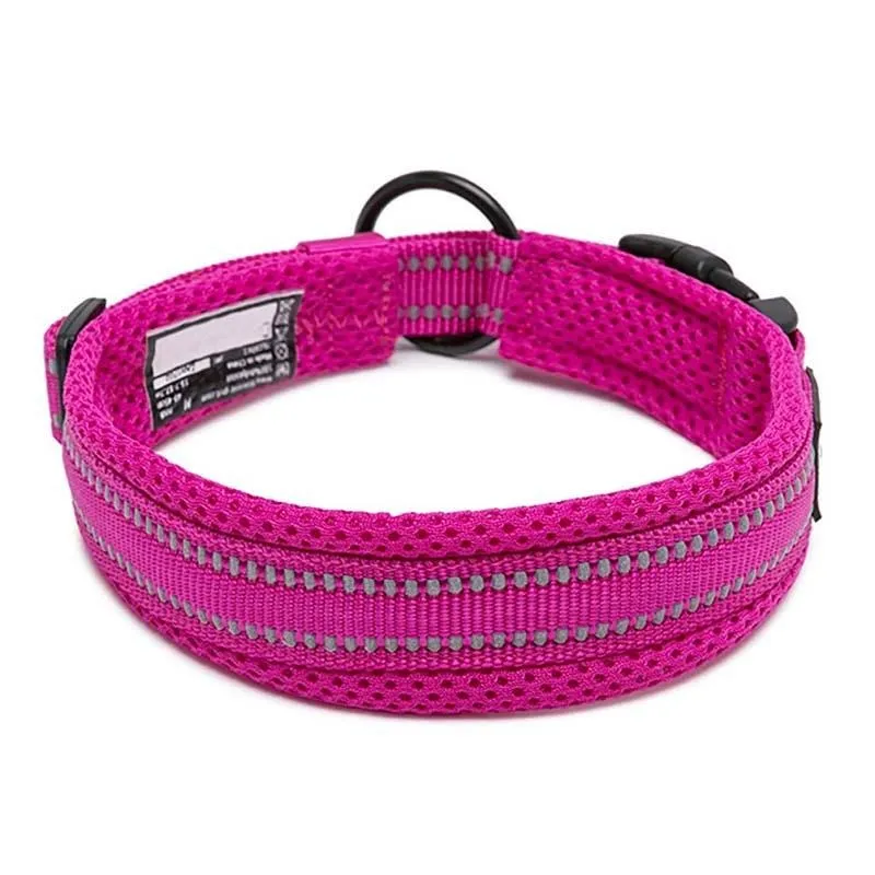 Everyday Reflective Collar