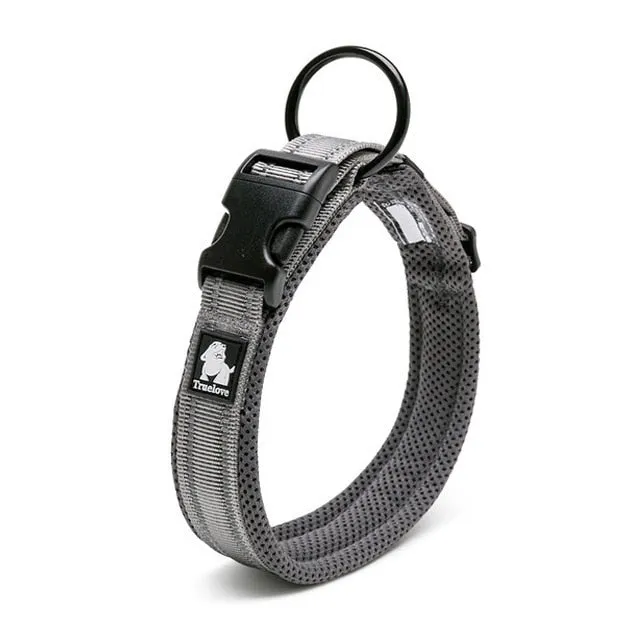 Everyday Reflective Collar