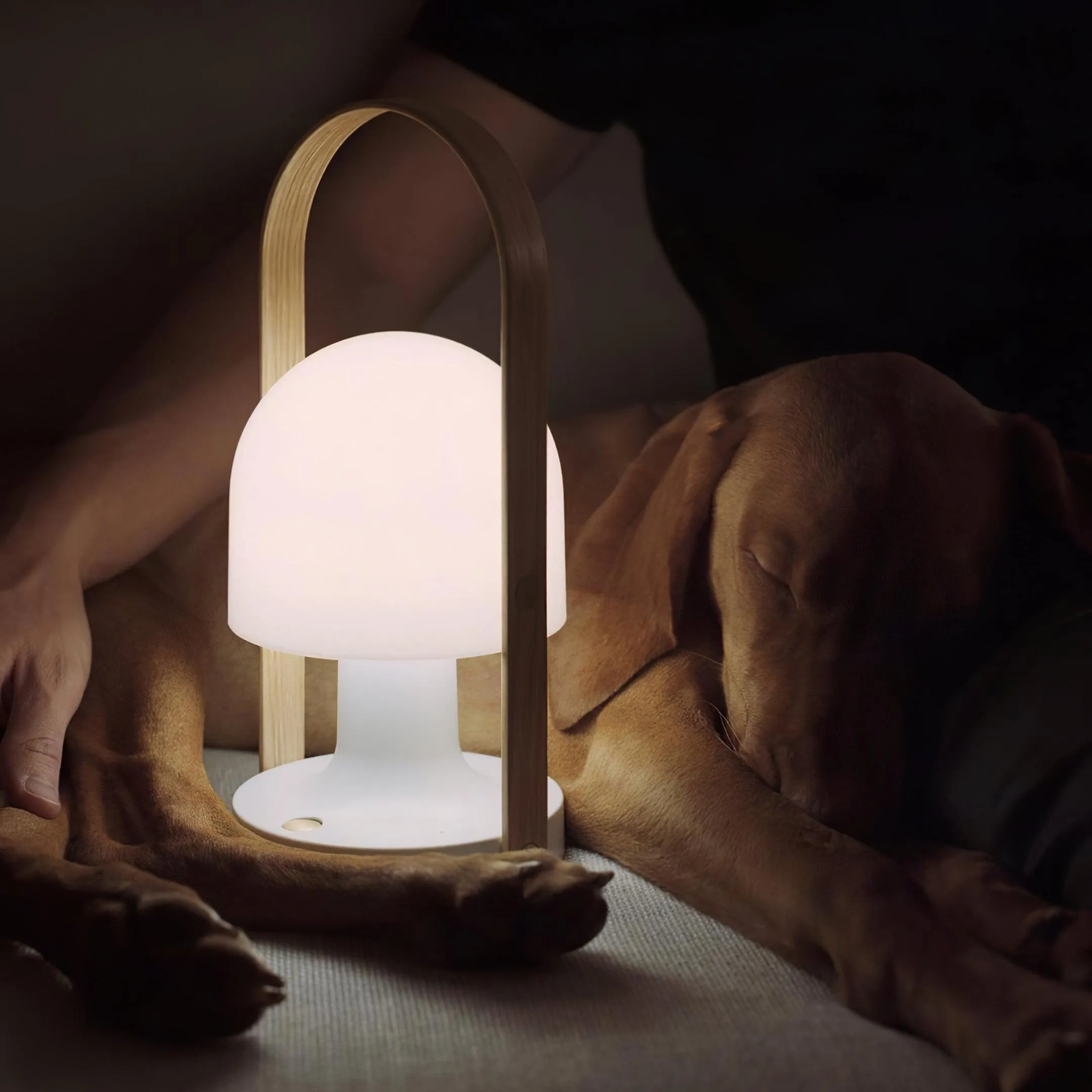 FollowMe Portable Table Lamp (built-in battery)