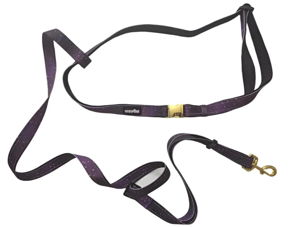 Galaxy Pet Hands Free Leash