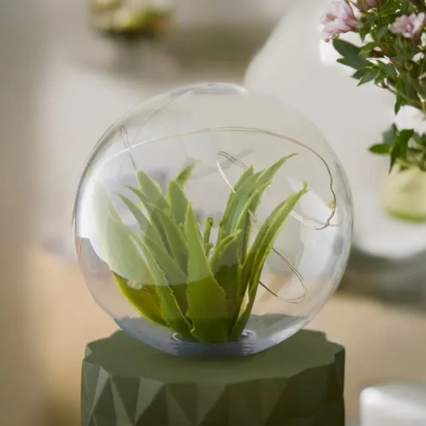 Green Faux Terrarium Dome Light