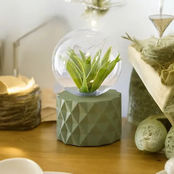 Green Faux Terrarium Dome Light
