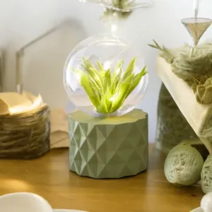 Green Faux Terrarium Dome Light