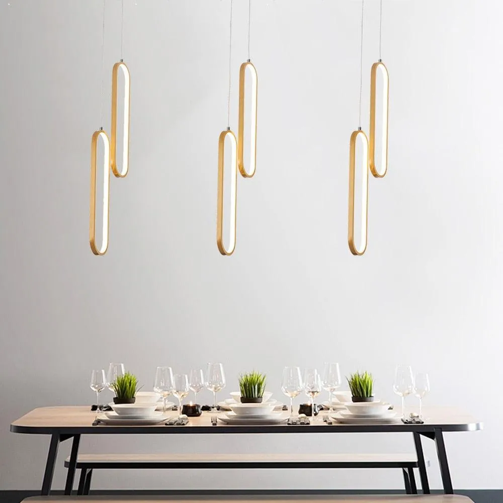 Luxury Ring shape pendant light