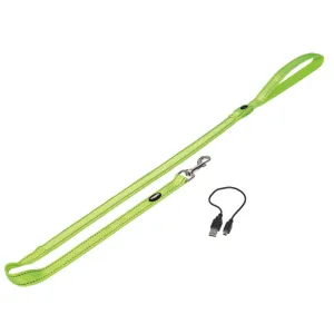 Nobby USB Rechargable LED Night Safety Light Hi Vis Dog Lead / Leash