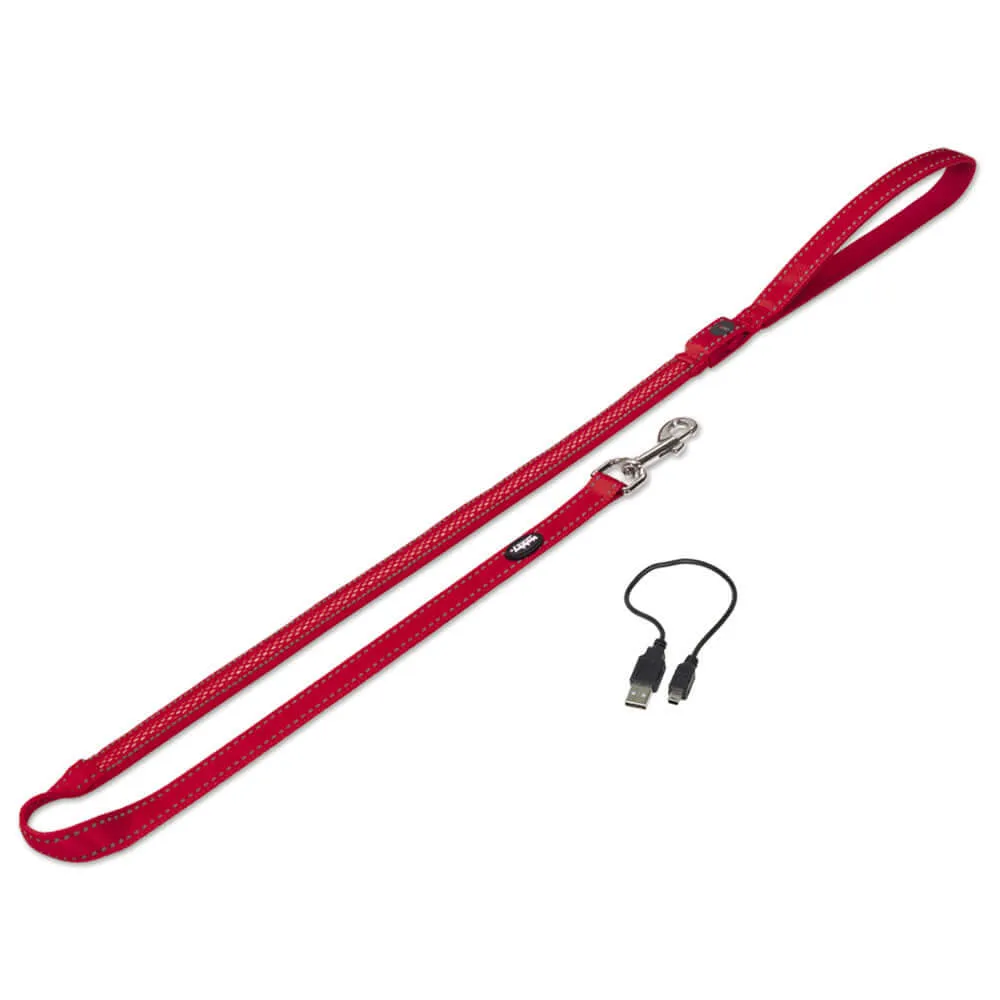 Nobby USB Rechargable LED Night Safety Light Hi Vis Dog Lead / Leash