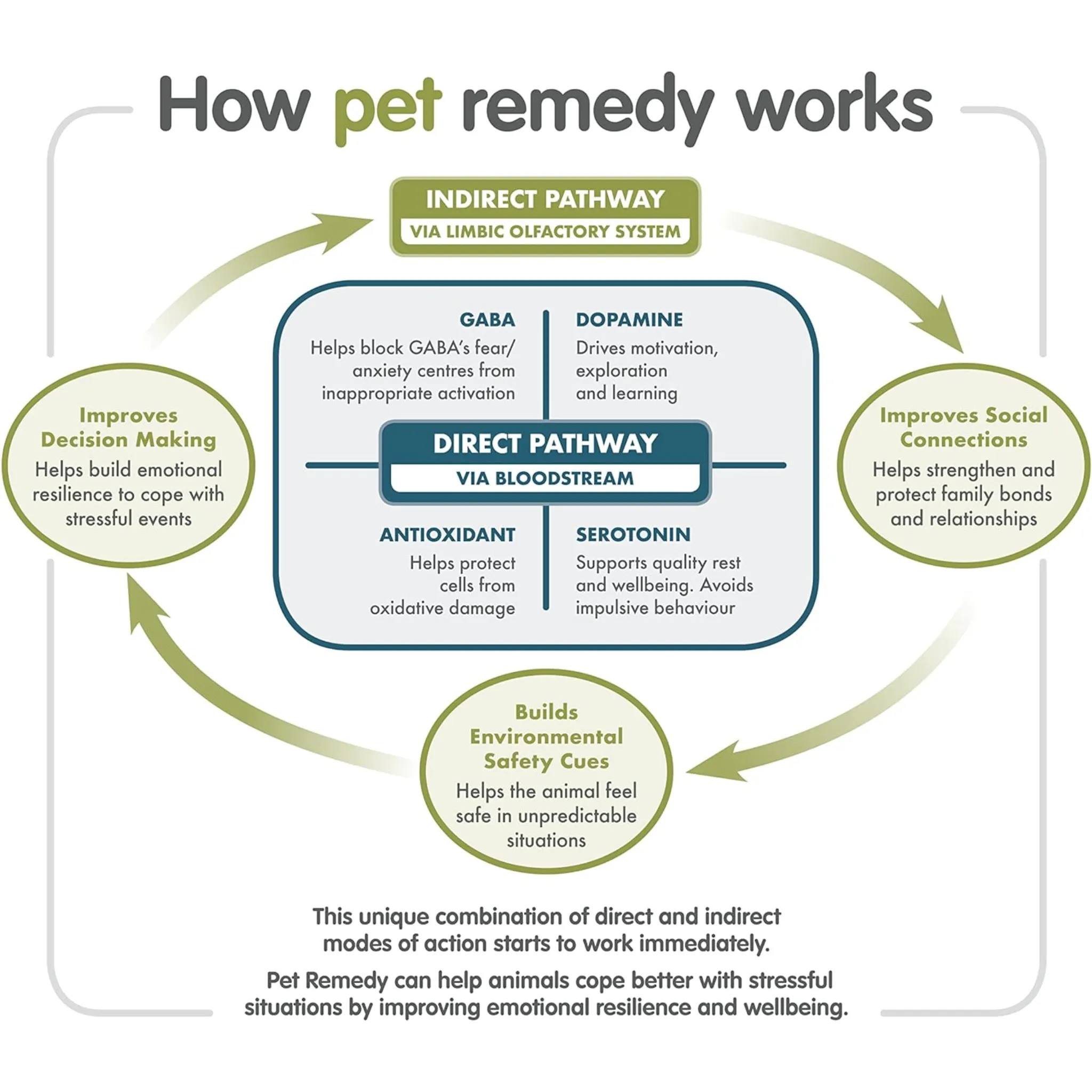 Pet Remedy All In One Kit