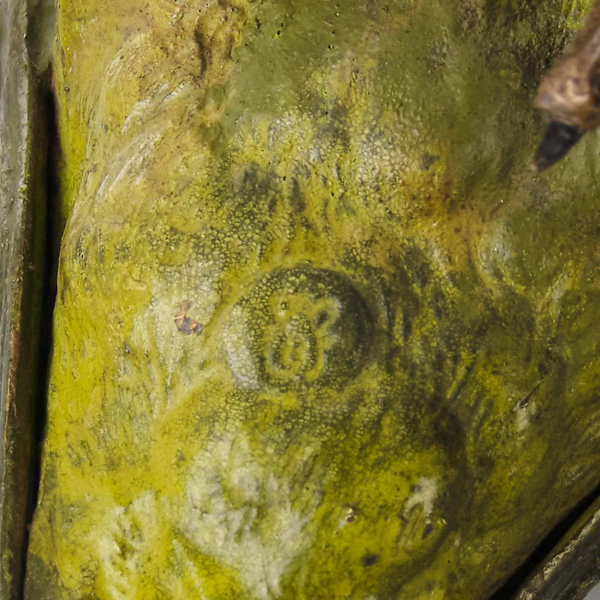 "Green Parrot" by Franz Bergman