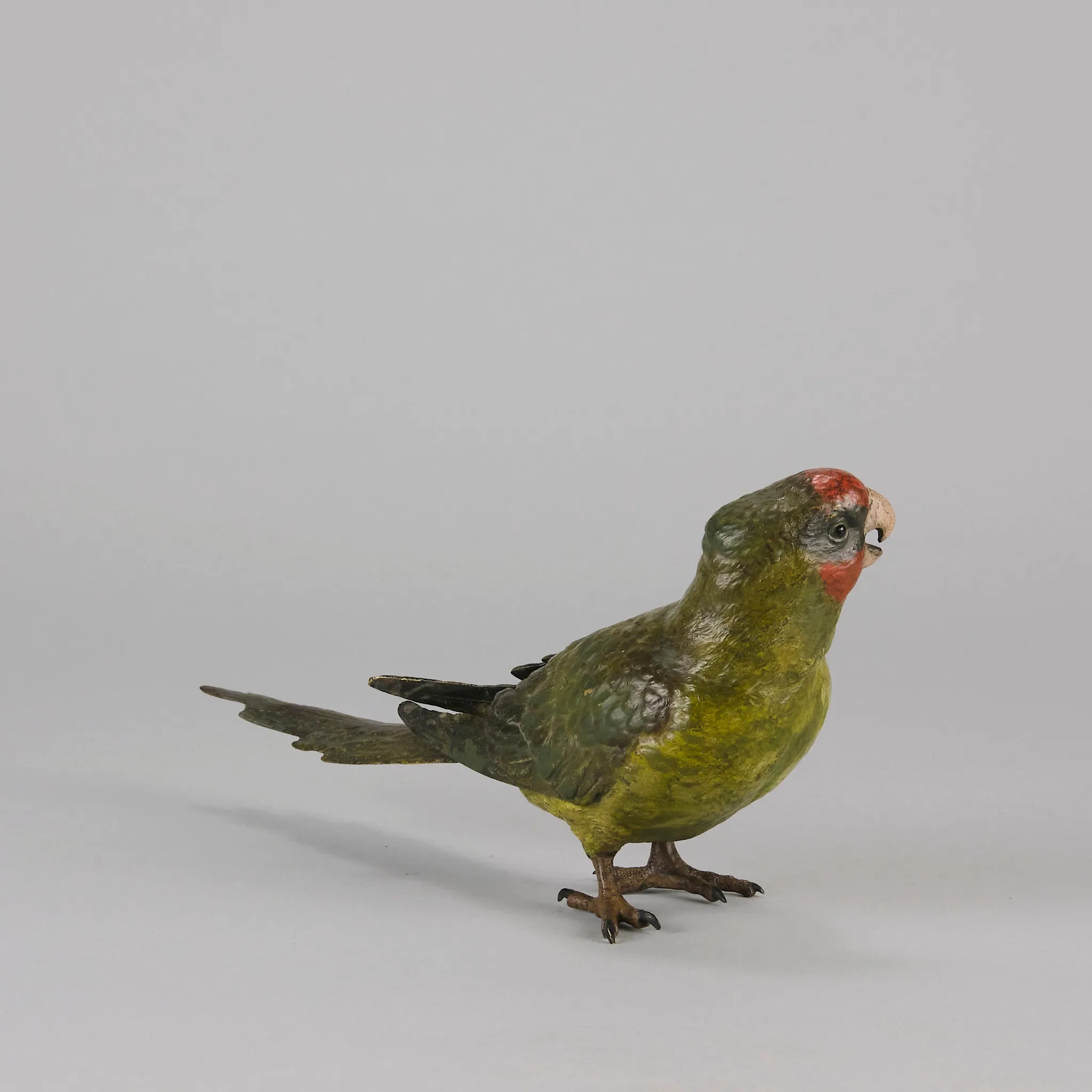 "Green Parrot" by Franz Bergman
