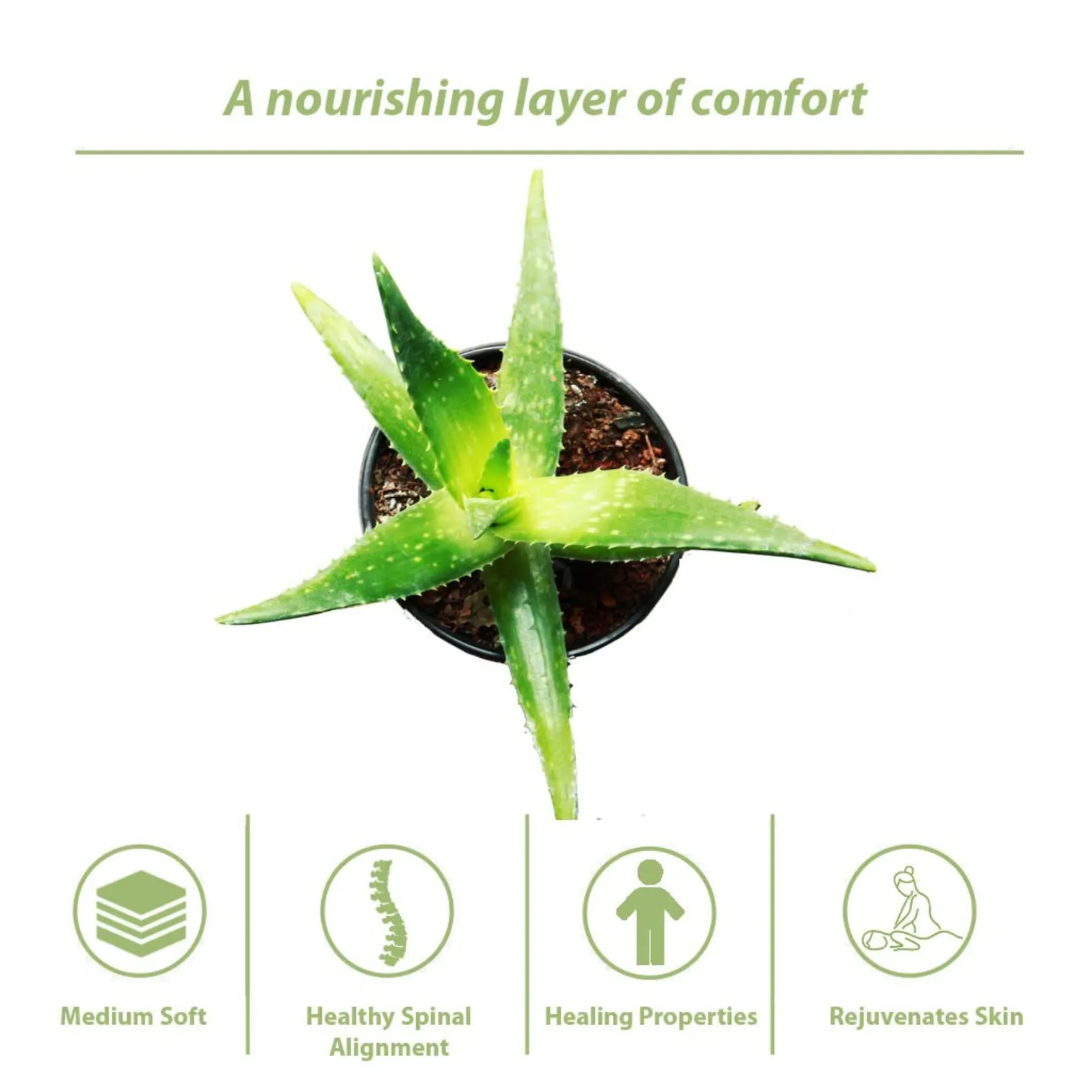 SLEEPSPA by Coirfit Nature Rest Aloe Vera Fabric 6' Inch Single Size Memory Foam Mattress (72 x 30 x 6)