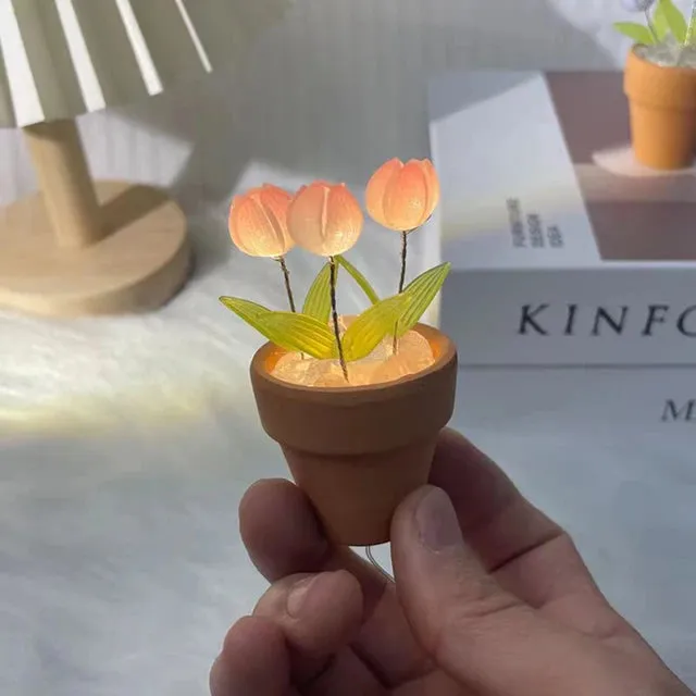 Tulip Mirror Lamp Cloud