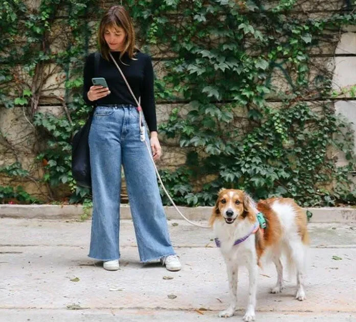 Zee.Dog Hands-Free Dog Leash Gravity