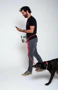 Zee.Dog Hands-Free Dog Leash Neon Coral