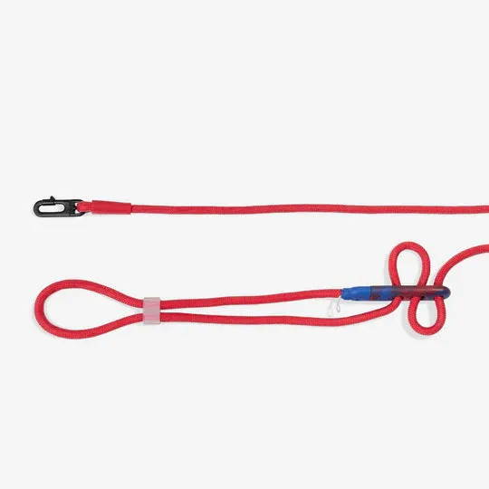 Zee.Dog x Marvel Hands-Free Dog Leash - Spiderman